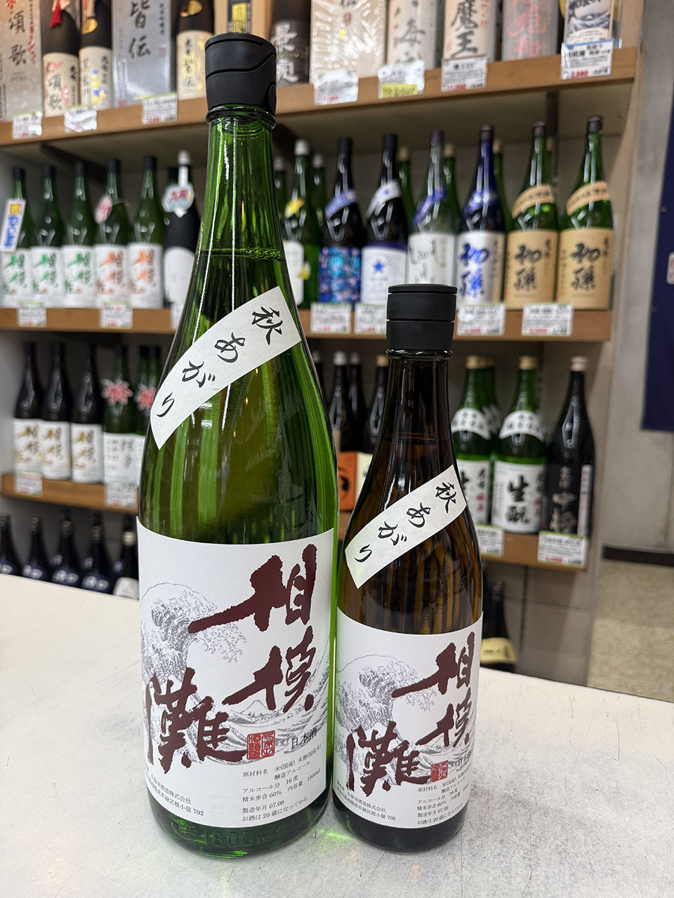 相模灘　秋あがり